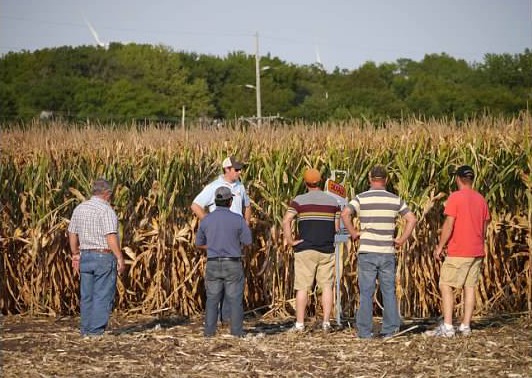 2013 Plot Day